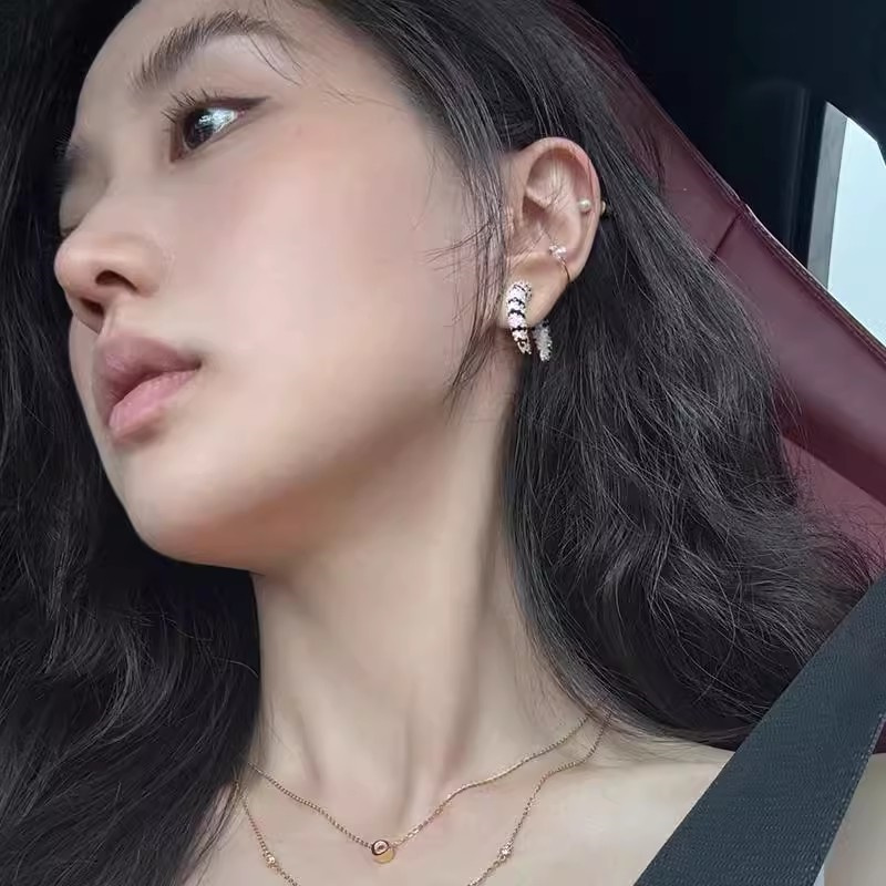 Vintage Front Rear Zircon Horn - Street Fashion Earrings 评论和价格